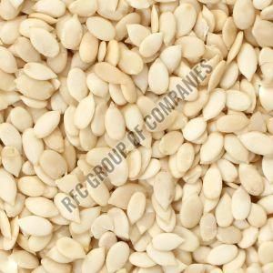 Water Melon Seeds - RFC Group of Companies  - India