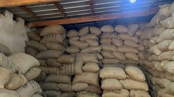 Well fermented dried cocoa beans Origin Cameroon Bean Type Forastero, Trinitario Degree of Processing Raw, Roasted Packaging 50kg jute bags with inner plastic lining - GLOBAL AGRICULTURE PRODUCTS TRADER - Cameroon