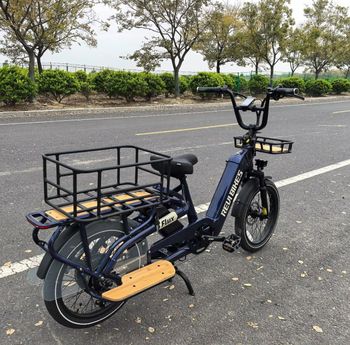 OEM Long Tail Cargo Electric Bicycle 750w Strong Power Dual Lithium Battery E Bicycle Hydraulic Disc Brake 7speed Bike - Parthway Electonics Limited - United States