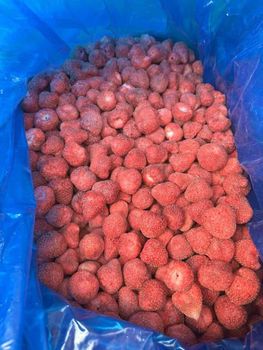 Strawberry freeze dried fruits Packaging box Flavor Strawberry Texture Dry And Crumbly Type freeze dried fruits Processing Type freeze dried - World Import Export Trade LLC - Uzbekistan