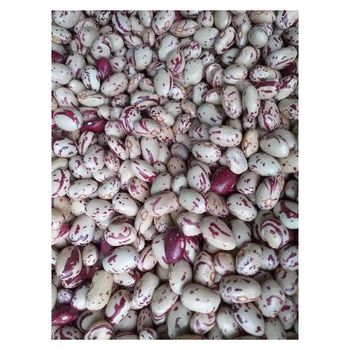 Pinto Beans, black bean and Sugar Beans for sale Grade As buyer requires Cultivation Type Non gmo Packaging As buyer - Thai Sme-Gp Company - Thailand