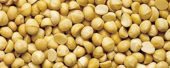 Macadamia nuts from Kwanda Organics Macadamia nuts - Kwanda Organics - France