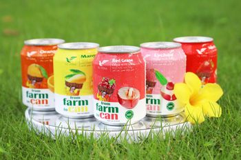 Fruit Juice Drink Organic Yes Origin Other Flavor Natural Preservatives None Texture Refreshing Ingredients Fruits Nutritional Value High - Thanh Cong Vina Import Export Producing Co., Ltd - Vietnam