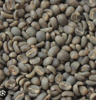 Green Arabica and Robusta Coffee - PT ANAK MENOL IKAK - Indonesia