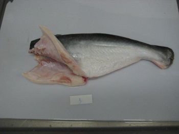 Frozen Pangasius HGT Weight Range 800-1000g Packing Method Iqf, Bulk 10kgs/ctn Net Weight Accuracy 100% Net - CADOVINA - Vietnam