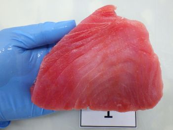 Yellowfin Tuna Steak - Nghi Son Food Group - Vietnam