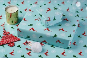 Wholesale High Quality Custom Logo Size Shoes Clothes Wine Flowers Packing Papers Gift Wrapping Paper Tissue Paper - GUANGZHOU RICHER IMPORT AND EXPORT TRADE CO.,LTD. - China
