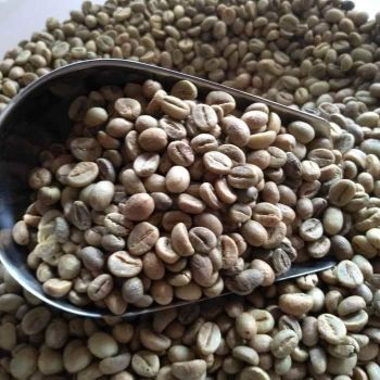 Green Coffee bean – product photo, Green Coffee Extract products found from trusted suppliers, wholesalers, manufacturers & exporters Listing