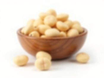 Macadamia Nuts from Savannah Source Global Trade Ltd Macadamia Nuts - Savannah Source Global Trade Ltd - Kenya