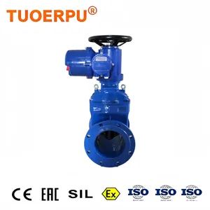 Flange Motorized Steam Globe Valve DN200 380V AC 50Hz Multi-Turn Electric Actuator Carbon Steel Electric Globe Valve - Tuoerpu Technology Co., Ltd. - China