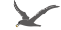 Product - Zhangzhou Albatross Sports Technology Co., Ltd. - China