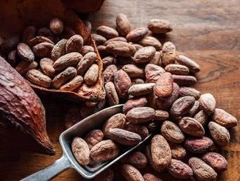 Nigerian Raw Cocoa Beans – Bulk Supply for Chocolate & Cocoa Processing – product photo, Cocoa Bean Shell products found from trusted suppliers, wholesalers, manufacturers & exporters Listing