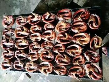 Dried Catfish - Abfamz - Nigeria