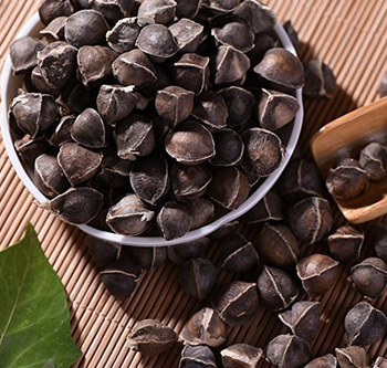 Moringa Seeds, Moringa Leaf Powder & Moringa Oil. free shipping worldwide.cheap wholesale prices. - Almaa SCS - Belgium