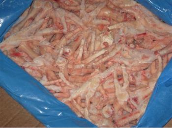Chicken paws Form Other Origin Italy Grade Grade A Size 35 Grams+ Packaging 10kg Cartoons Container Type 40feet Container - Sawan Worldwide - Italy