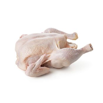 Whole Chicken Frozen / Halal Chicken Feet / Frozen Chicken Paws Brazil - N.G westen holding B.V - Netherlands