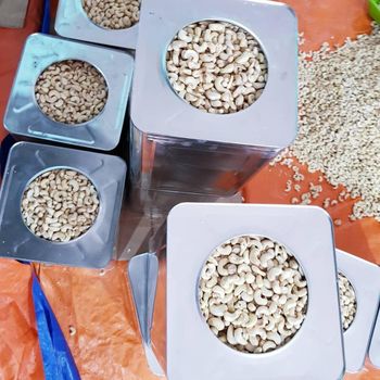 Premium Cashew Nuts Available For Sale – product photo, Cashew Nut Kernel products found from trusted suppliers, wholesalers, manufacturers & exporters Listing