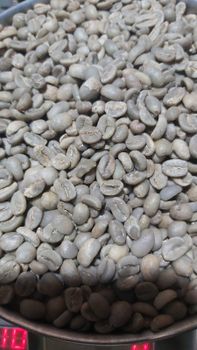 Premium Gayo Arabica Wild Civet Coffee – product photo, Gayo Sumatera Coffee products found from trusted suppliers, wholesalers, manufacturers & exporters Listing