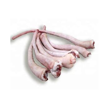 Wholesale frozen pork tail bulk supply ready stock for distributors and supermarkets from BMU TRADING GMBH Wholesale frozen pork tail bulk supply ready stock for distributors and supermarkets - BMU TRADING GMBH - Germany