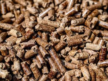 Premium 100% Wood Pellet Biofuels Briquette 454g Diameter 4900 Kcal/kg 56% Ash Content 44% Moisture for Heating System from Smart Agri GmbH Premium 100% Wood Pellet Biofuels Briquette 454g Diameter 4900 Kcal/kg 56% Ash Content 44% Moisture for Heating System - Smart Agri GmbH - Germany