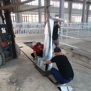Automatic Cleaning Equipment for Cattle Sheds, Manure Scrapers - Hebei Junguang Animal Husbandry Technology Co., Ltd - China