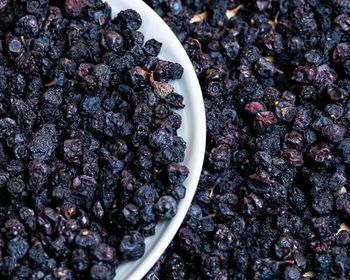 Bilberry Dried - ZHIVANA ORGANICS - Ukraine
