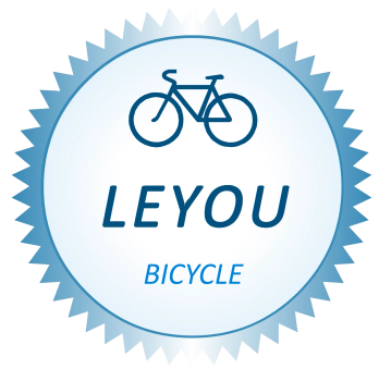 Product - Hebei Leyou Bicycle Co., Ltd. - China