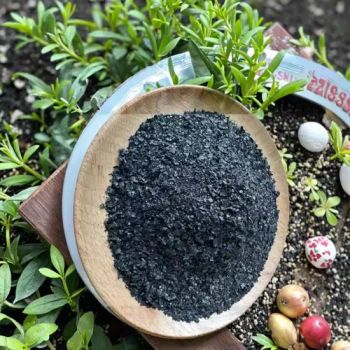 Water - Soluble Humic Acid Potassium Biological Fertilizer Necessary for Sustainable Agriculture - Shouguang Nongyuan Agricultural Materials Co., Ltd. - China