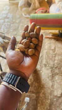 Shea Nut Grade A Packaging 25kg - Kk transport & logistics  - Italy