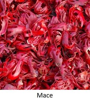 Mace (Premium Quality Export Grade) Origin India Product Type Spices - AGROCARTE EXIM ENTERPRISES PVT LTD - India