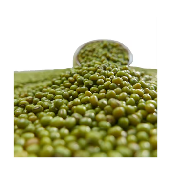 Wholesale Splits Green Mung Beans - HIGHPROFILE AGRICULTURE SERVICES LIMITED - Tanzania