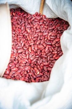 Broad Beans - BF GLOBAL TRADING (PTY) LTD - South Africa
