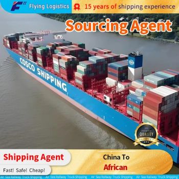 African Sea Freight Door to Door Shipping Agent Wood Machinery Special Containers Destination Port Customs Clearance - Shenzhen Flying Supply Chain Co., Ltd. - China