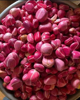 Kola Nuts Origin Cameroon Ash Content 2.5 % Hs Code 0802.90.00 Fats Content 1 – 2 % Protein Content 2 – 4 % Size 3–6 Cm In Diameter - MY COCOA - Cameroon