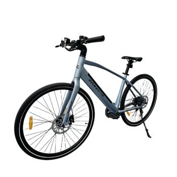 Saige Electric Bicycle Bike 2 Wheel Electric Bike with Lithium Battery - Wuxi Xushi Thunder International Trade Co., Ltd. - China