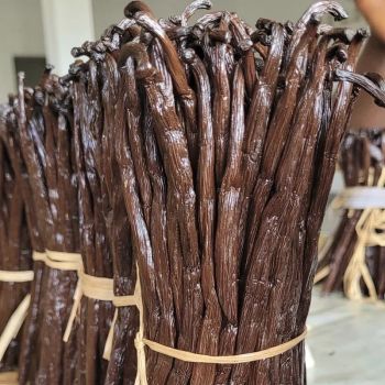 VANILLA BEANS - SGCK - France