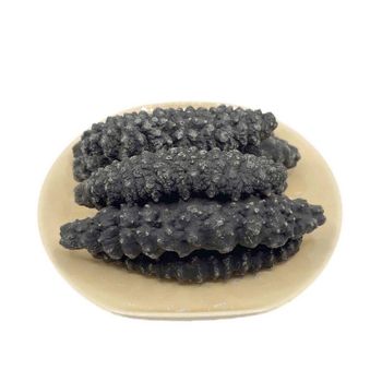 Dried Sea Cucumber Wholesale Suppliers | Sea Cucumber Exporters - Exigentelaxia Unipessoal Lda - Portugal