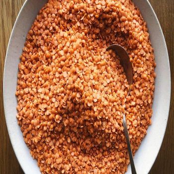 Premium Red Split Lentils (Masoor Dal) Dried High Quality Export Quality Food Grade - TRADECENTRIC LLC - United States