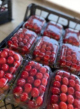 sweet cherries fresh - Freeze Dried Fruit LTD - Uzbekistan