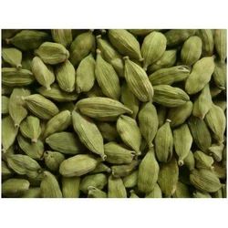 Green Cardamom 8MM Bold - REVDIX EXIM LLP - India