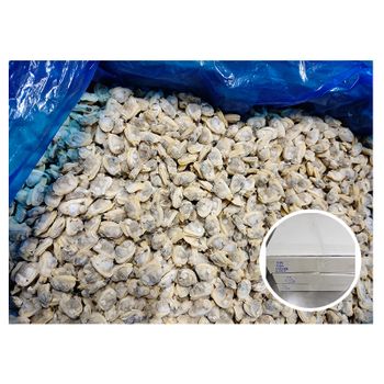 Frozen Boiled Variegated Clams for Vietnam Market Style FROZEN Quality Grade Packaging Box Content Healsea Ingredients - Shishi Healsea Foods Co., Ltd. - China