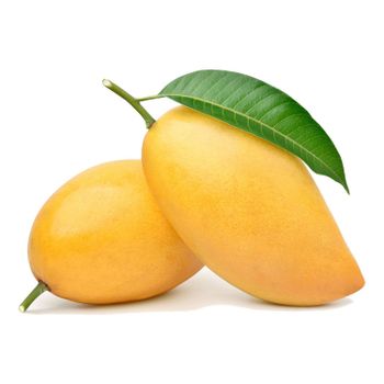 Premium Fresh Mango Yellow Mango Cheap Price Fresh Mango Fruit - NUTRIDIET LDA - United Kingdom