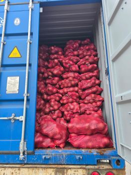 DE-HUSKED/DRY COCONUTS Organic No Form Whole Origin GUYANA Degree of Processing Fresh - COCOS GUYANA - Guyana