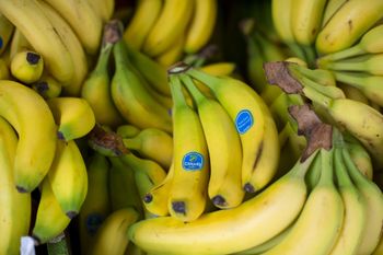 Naturally Sweet Chiquita Bananas For Breakfast Bowls Smoothies and Convenient Snacks That Fit Into Everyday Routines - EAST LAND PROPERTIES - Tanzania