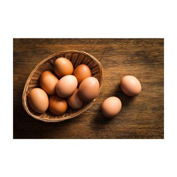 Fresh brown chicken eggs farm produced quality natural protein bulk supply - Koto Global Trade SPRL - Belgium