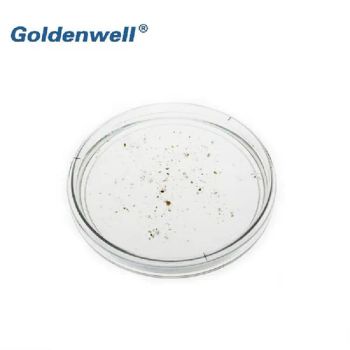 Reusing Plastic Petri Dishes Transparent OEM Provide Factory Yes Sample Free Use Laboratory Color Transparent HS Code - Shanghai Goldenwell Medical Technology Co., Ltd. - China