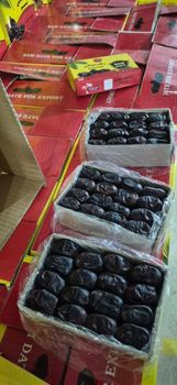 Date fruit - novinaria - Iran