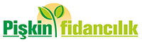 Product – product photo, Fresh Almonds products found from trusted suppliers, wholesalers, manufacturers & exporters Listing