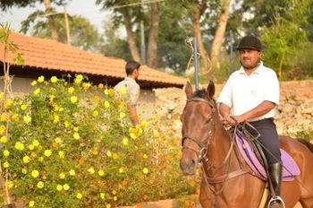Horse Riding - The Blue Mangos - India