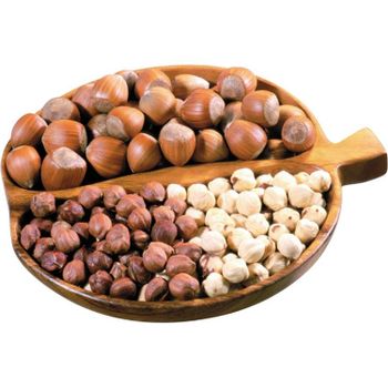 Pure Hazelnuts Raw Whole Kernels Clean Fresh Quality Perfect For Baking Processing Chocolate And Wholesale Supply Buy Today Fast Delivery Premium Quality Wholesale from wood traders Pure Hazelnuts Raw Whole Kernels Clean Fresh Quality Perfect For Baking Processing Chocolate And Wholesale Supply Buy Today Fast Delivery Premium Quality Wholesale - wood traders - Poland